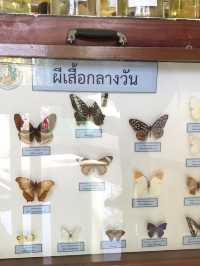 อุทยานแห่งชาติน้ำหนาว⛰️🌳