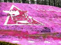 【北海道】圧巻のピンクの絨毯！「ひがしもこと芝桜公園」