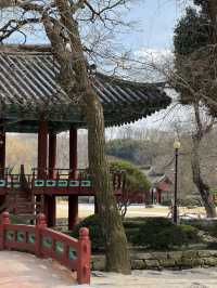 남원 1박 2일 코스 🩵