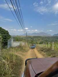 ที่พักวิวดอยหลวงเชียงดาว จ.เชียงใหม่ 🏡⛰️🌤️🐶