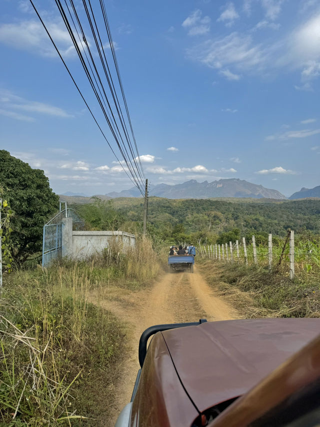 ที่พักวิวดอยหลวงเชียงดาว จ.เชียงใหม่ 🏡⛰️🌤️🐶