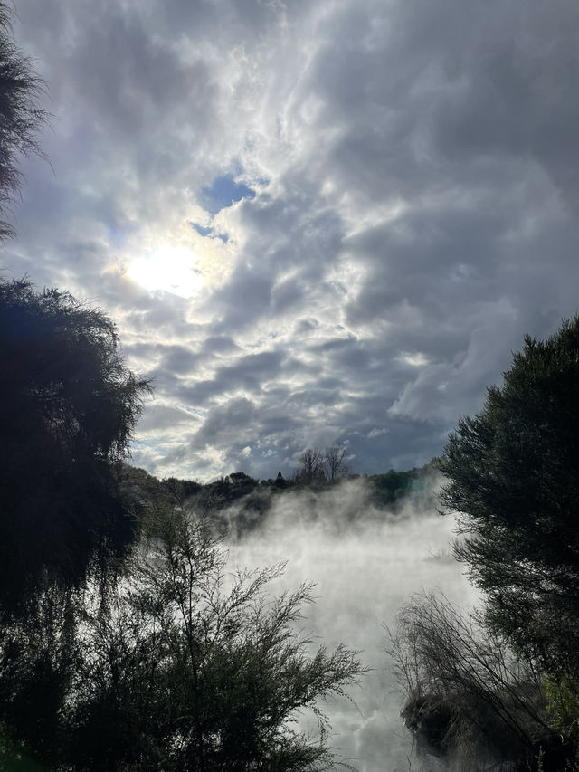 紐西蘭北島｜ Rotorua 輕旅行｜在地熱與滑車間切換頻道
