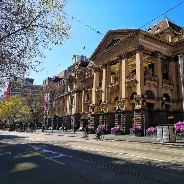 Springtime Magic in Melbourne 🌿☀️