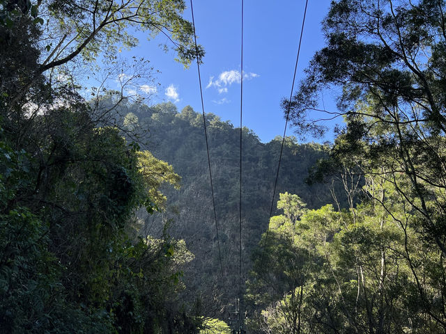 武界壩｜南投仁愛鄉的歷史水利工程與自然景觀 