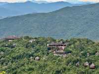 Jungle Vibes and Epic Views