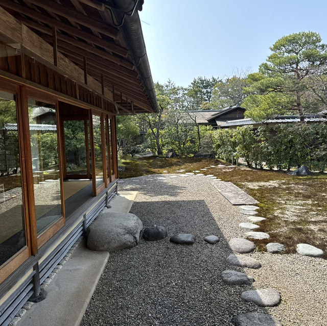岀雲茶道體驗🍵