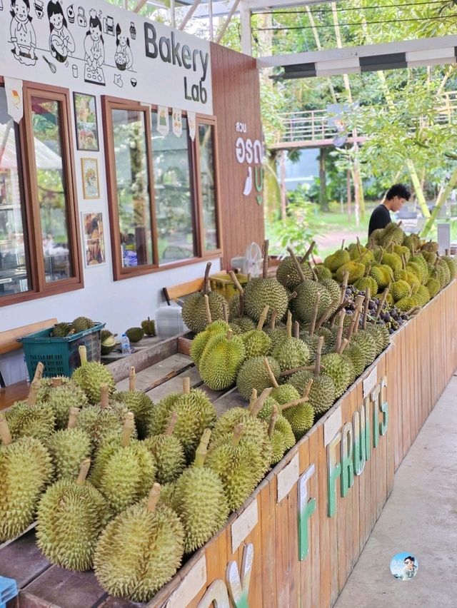 สวนอรุณบูรพา จันทบุรี