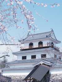 從大阪到仙台賞櫻最快交通：日本國內線飛機攻略