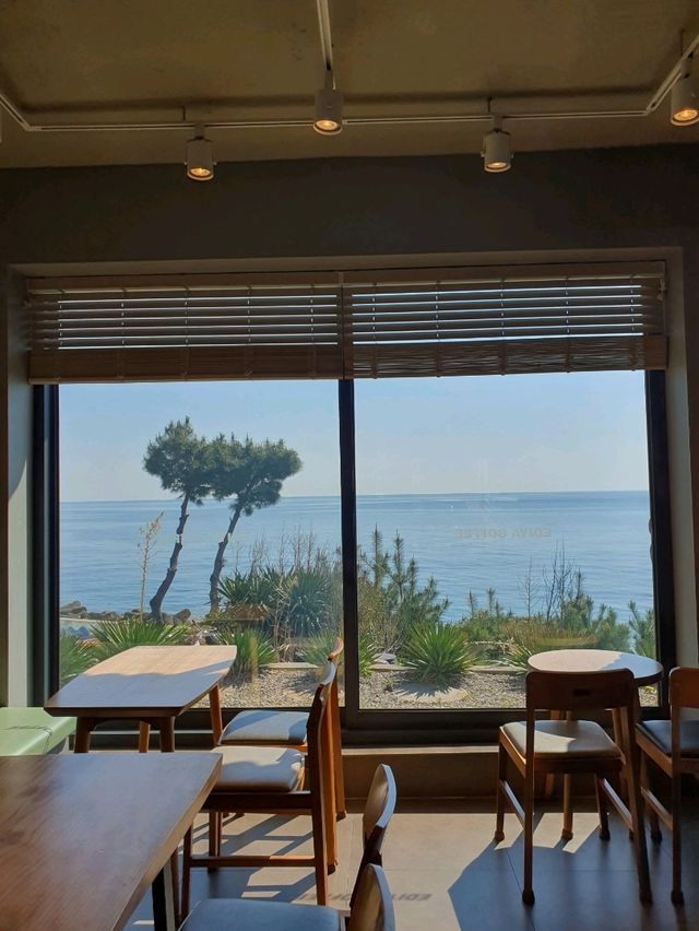 바다뷰 카페 찾는다면? 이디야커피 포항화진점