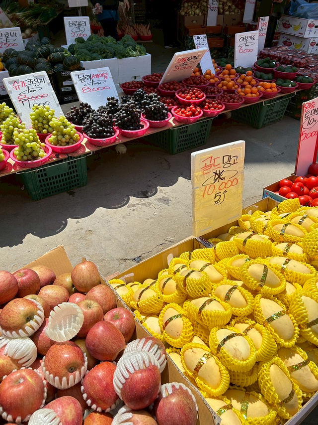 望遠市場