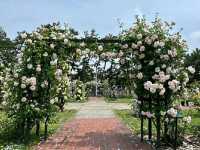 Hamadera Park – Osaka’s Historic Green Escape