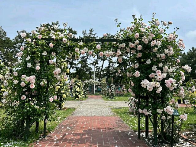 Hamadera Park – Osaka’s Historic Green Escape