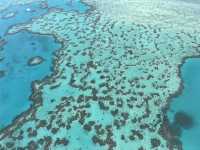 🇦🇺Whitsunday | The flight that changed how I saw the Reef 🪸✈️