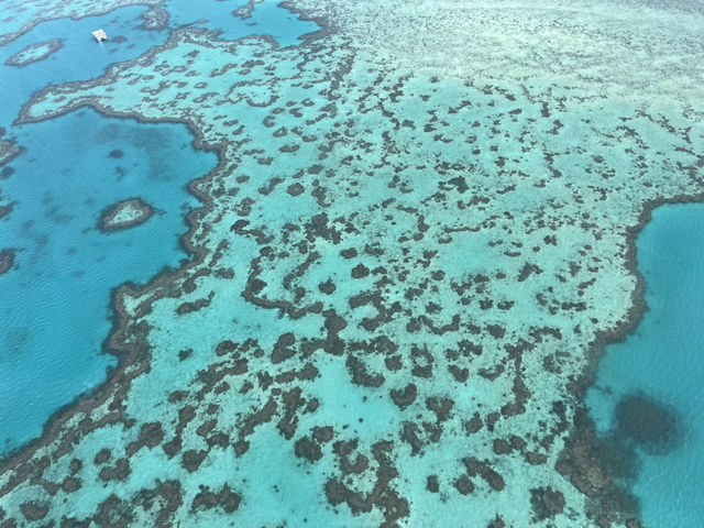 🇦🇺Whitsunday | The flight that changed how I saw the Reef 🪸✈️