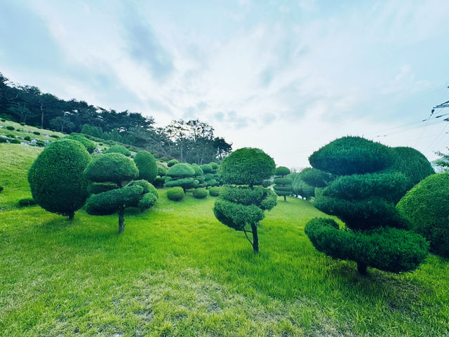 Seongnae Reservoir: Nature’s Mirror