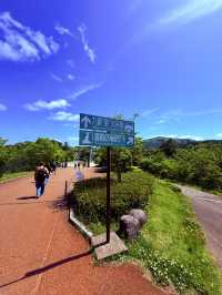 穿越僻靜山谷的高空吊橋