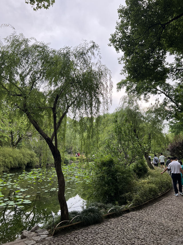 Humble Administrator’s Garden, Suzhou