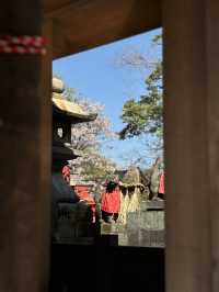 Fushimi Inari Taisha and its Senbon Torii are a must-see, even in the high season