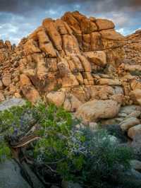 Iconic Views from Keys View: Joshua Tree’s Must-See Landmark