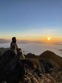 Phu Chi Fa – Chasing the Sea of Mist.