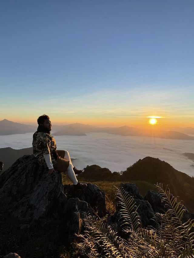 Phu Chi Fa – Chasing the Sea of Mist.