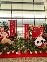 3 days in Chengdu: pandas, hotpot, ancie
