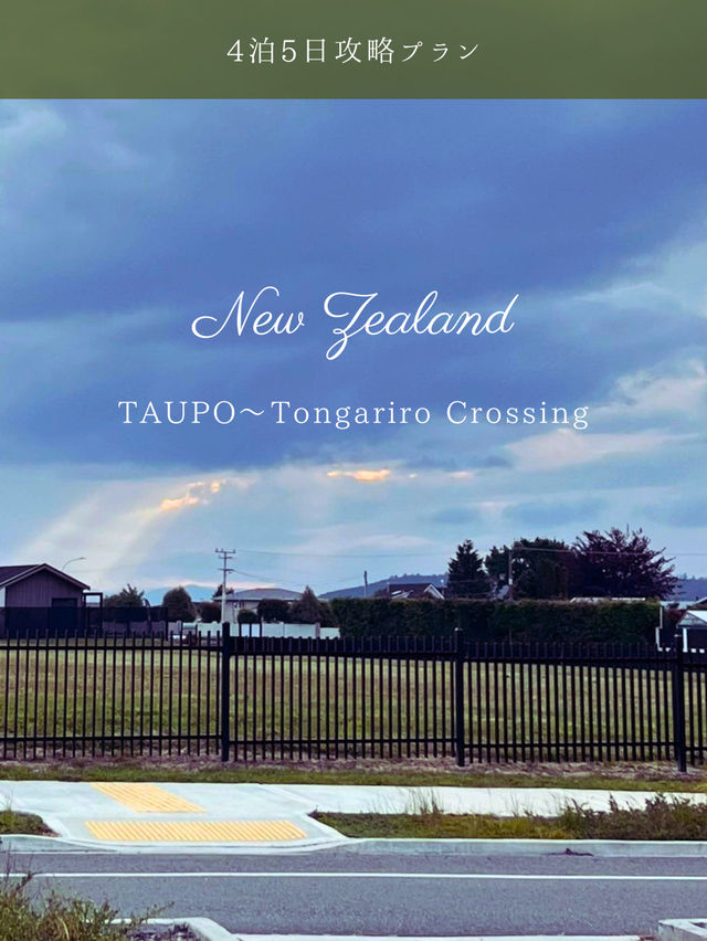 【NZ】タウポ＆トンガリロ4泊5日攻略🗻自然と火山のパワーを体感するアドベンチャー旅