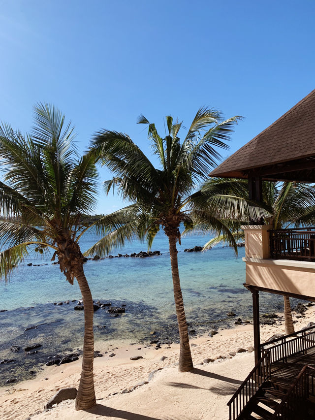 Luxury, Serenity & Sunset Views: My Perfect Stay at The Westin Turtle Bay, Mauritius