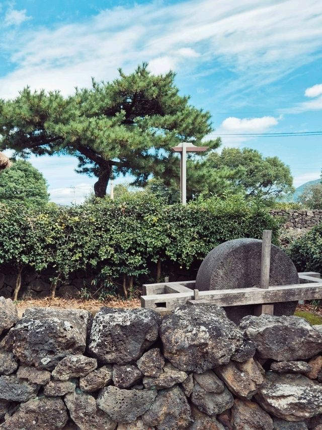 제주도역사여행 [추사관]