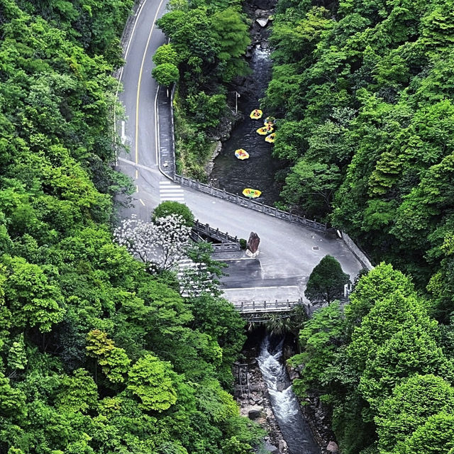 🏞️端午節適合去哪裡旅遊|來大覺睡大覺💤