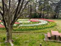 Terao Central Park, Your New Favorite Chill Spot
