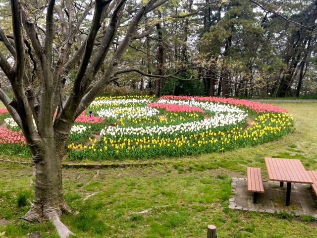 Terao Central Park, Your New Favorite Chill Spot