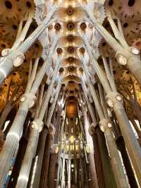Awestruck by the Majesty of Sagrada Família ⛪️✨