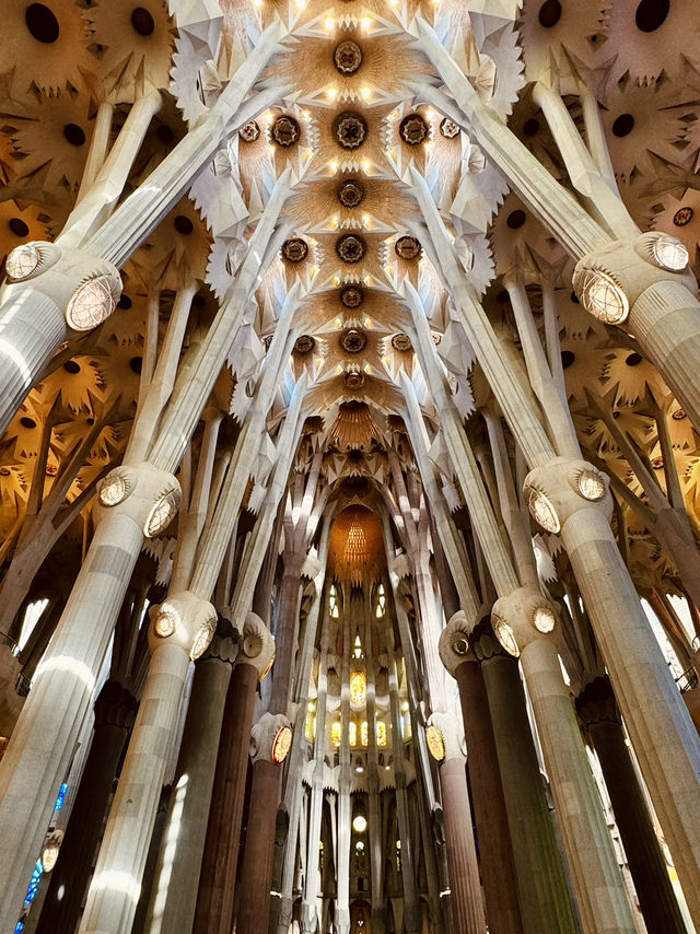 Awestruck by the Majesty of Sagrada Família ⛪️✨