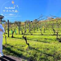 【NZ】🍷ワイヘケ島ワイナリー巡りと、虹と映画に出会えた一日🌈