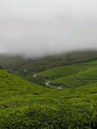 Munnar: India’s Emerald Escape in the Western Ghats