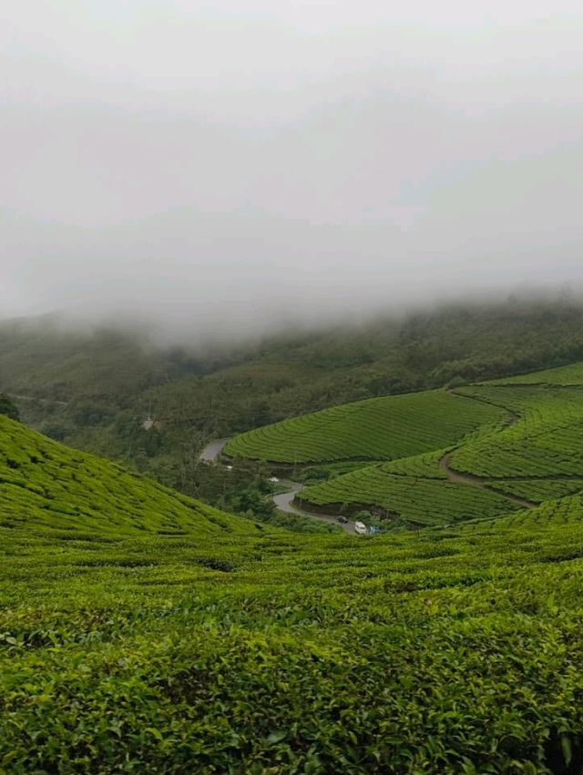 Munnar: India’s Emerald Escape in the Western Ghats