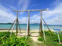 【沖縄】うさぎとビーチと大自然が楽しめる無人島「カヤマ島」