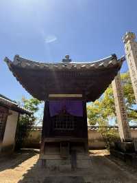 岡山｜寂靜無人的寶壽山觀龍寺 見證東密與神道分合的寺院