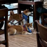 走進馬灣咖啡店☕️ 一起遠離煩囂ᶻ 𝗓 𐰁 