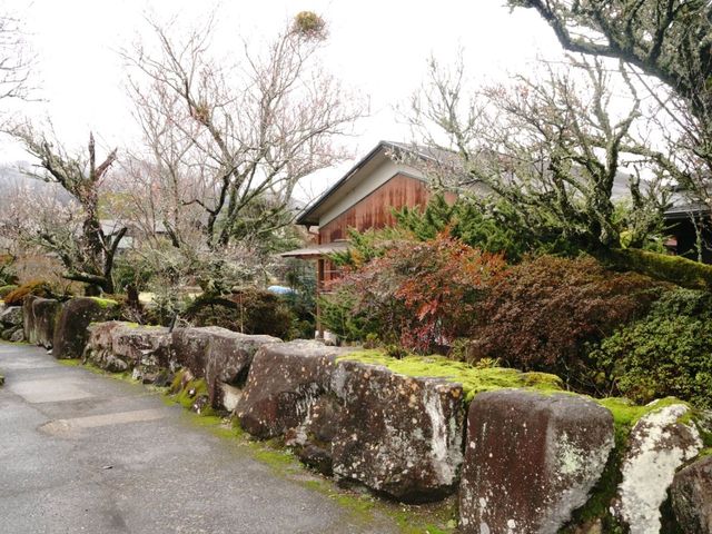 เที่ยวเมืองน่ารักๆ Yufuin , Oita, Japan