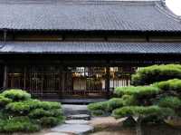 【🇯🇵高松】朝の静寂に包まれた玉藻公園で心穏やかなひとときを