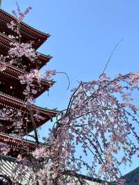 ♨️ 東京淺草性價比爆燈住宿推薦｜天然溫泉凌雲之湯 御宿野乃 淺草 Onyado Nono Asakusa