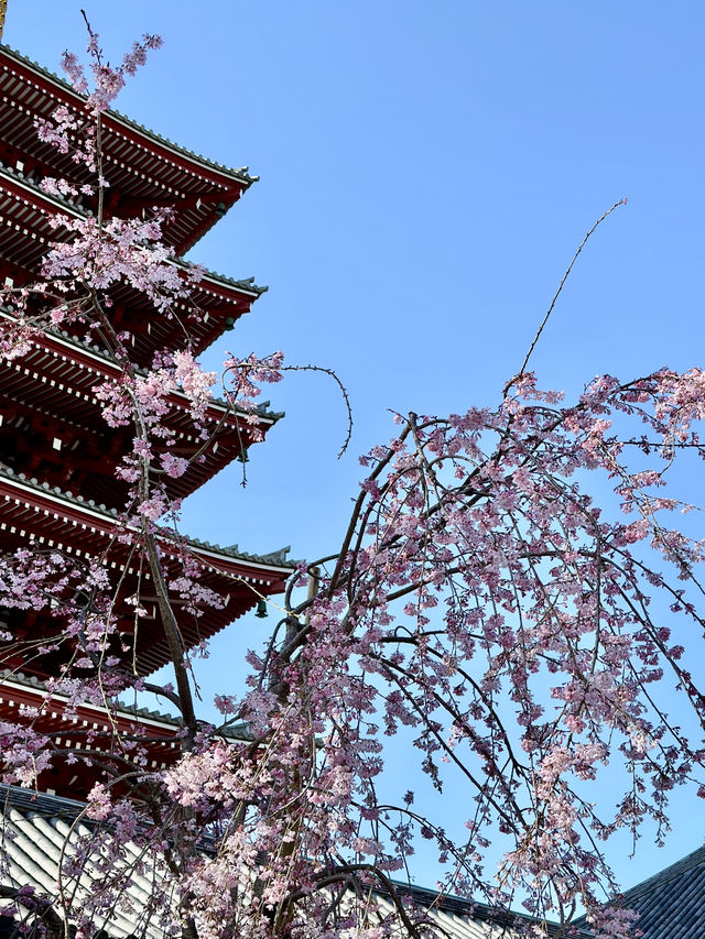 ♨️ 東京淺草性價比爆燈住宿推薦｜天然溫泉凌雲之湯 御宿野乃 淺草 Onyado Nono Asakusa