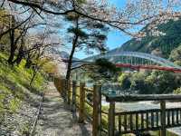 Kotohiragū – Climbing to the Spirit of the Sea