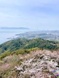 A Day in Nature in Suma, Kobe 🌊🌲
