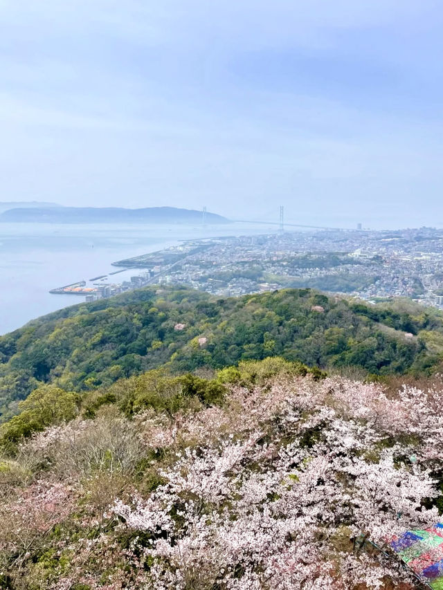 A Day in Nature in Suma, Kobe 🌊🌲
