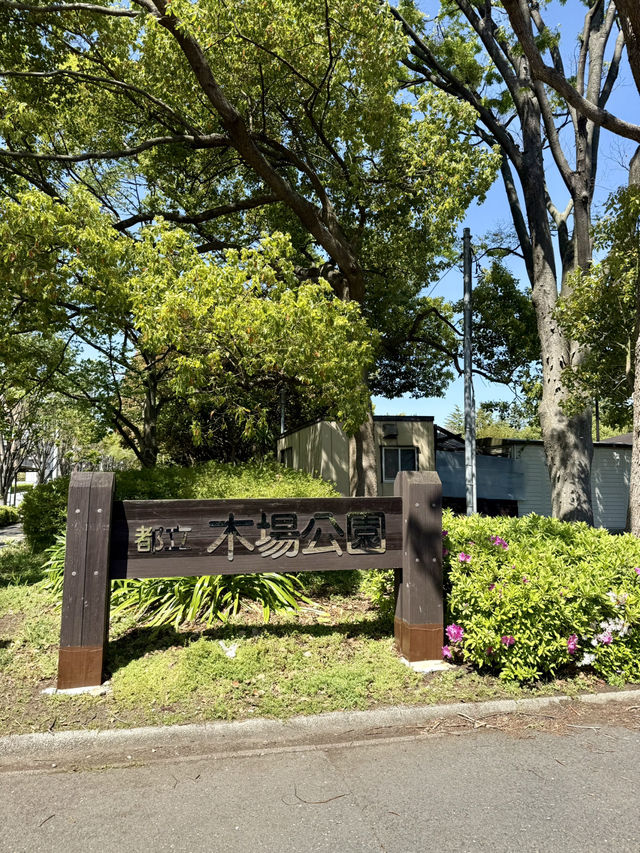 Art & Nature Escape in Kiba, Tokyo 🍃🖼️