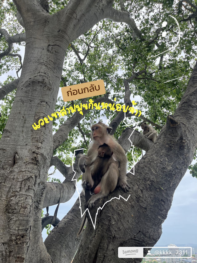 เที่ยวบางแสนในหน้าโฝนนนน!!!