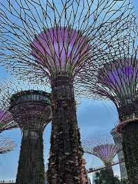 สิงคโปร์🇸🇬
